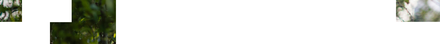 Full Width Image