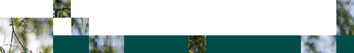 Full Width Image