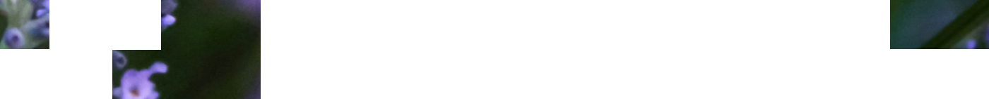 Full Width Image