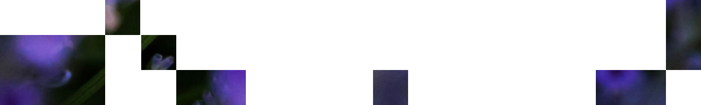 Full Width Image