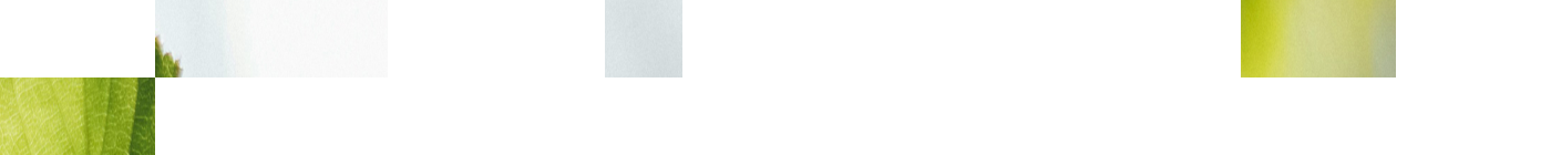 Full Width Image