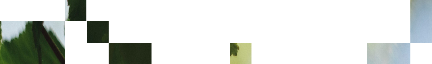 Full Width Image